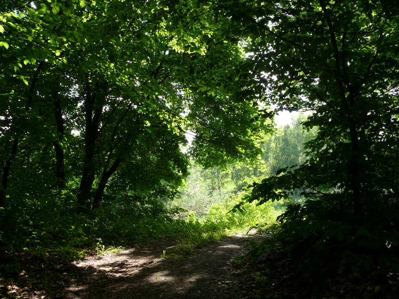 Церковщина Гнилецкий монастырь