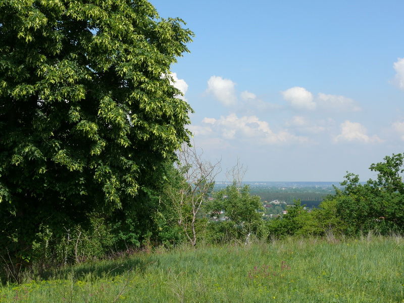 Церковщина Село Пречистыя