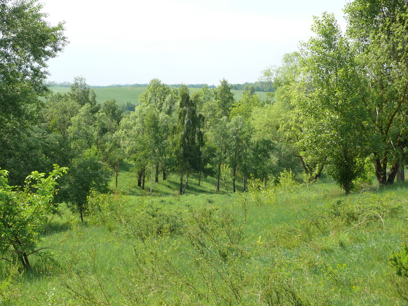 Глинецкий монастырь