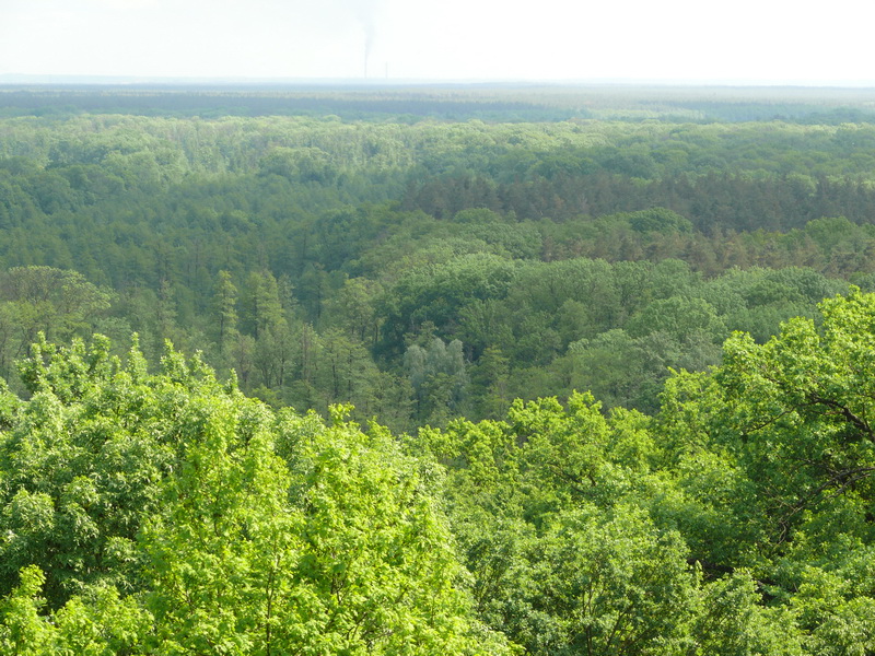 Урочище Церковщина