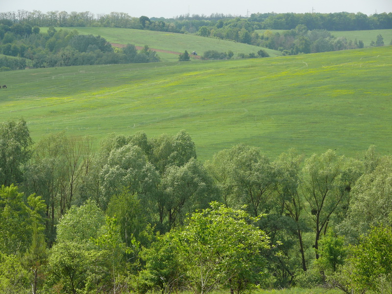 Церковщина